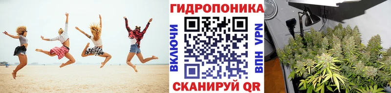наркотики ссылка на мегу ссылки МАРИХУАНА сатива Томилино